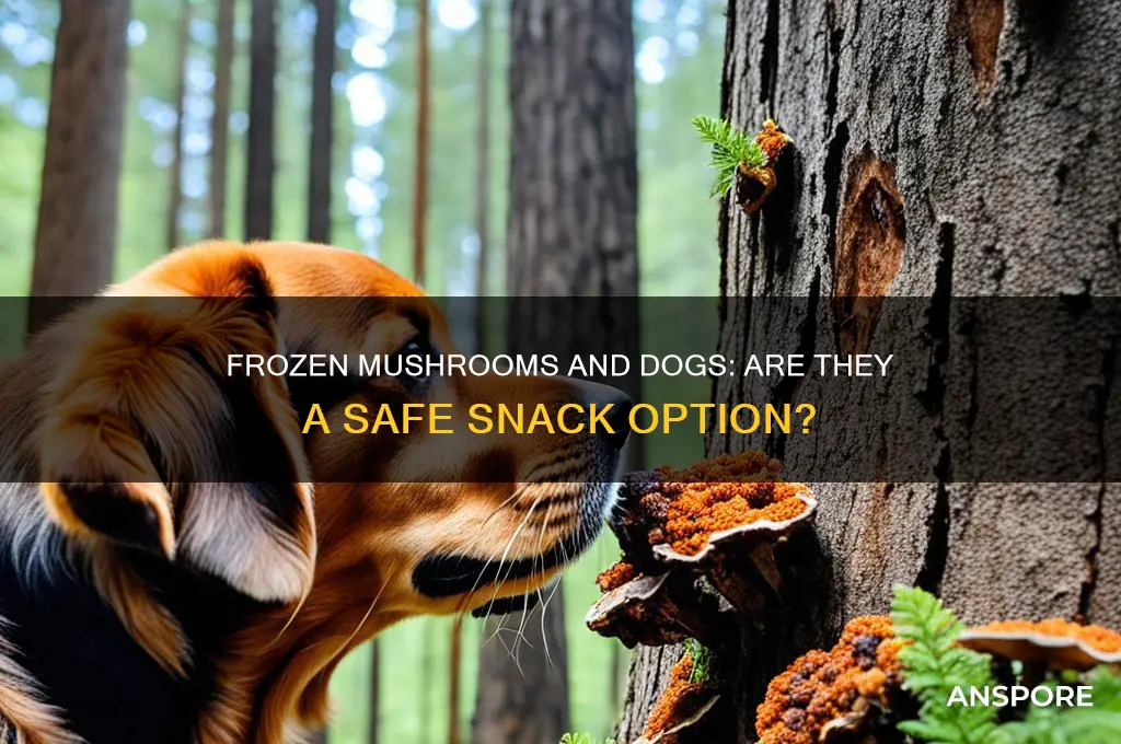 are frozen mushrooms safe for dogs