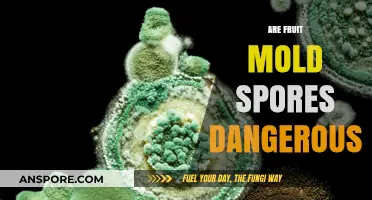 Fruit Mold Spores: Uncovering the Hidden Dangers in Your Kitchen