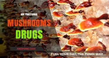 Mushrooms: Medicine or Just a Fun Guy?