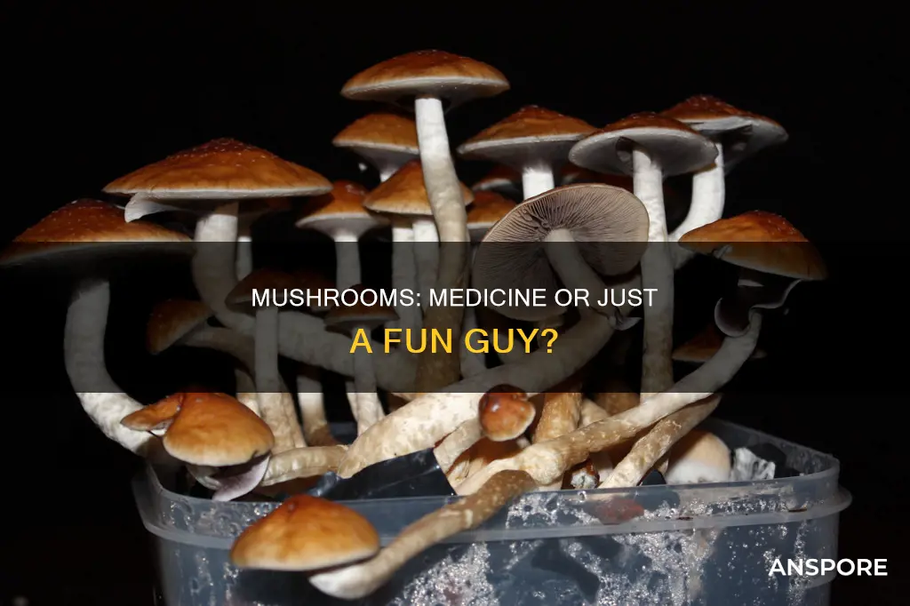 are functional mushrooms drugs