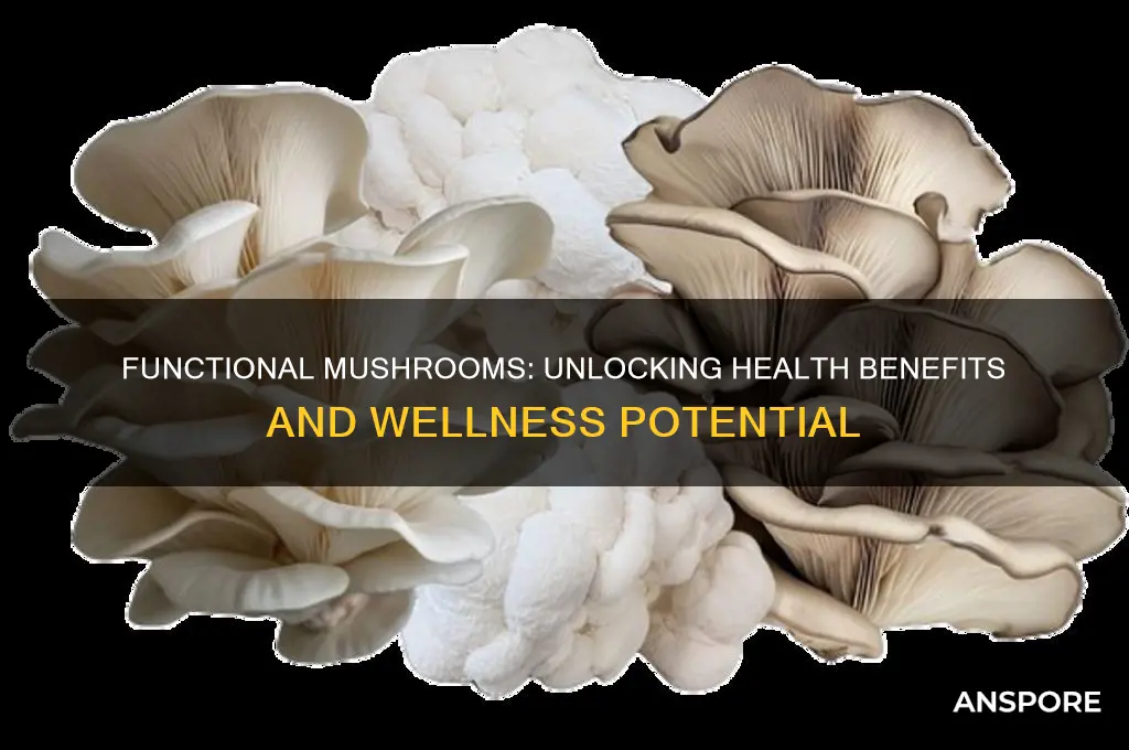 are functional mushrooms good for you