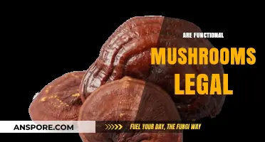 Are Functional Mushrooms Legal? Exploring the Legal Landscape of Medicinal Fungi