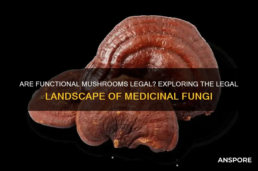 are functional mushrooms legal