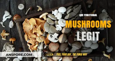 Mushroom Magic: Functional Fungi for Health?