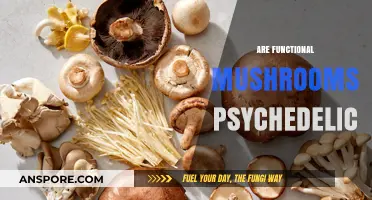 Psychedelic Mushrooms: Functional Fungi or Fun Trip?