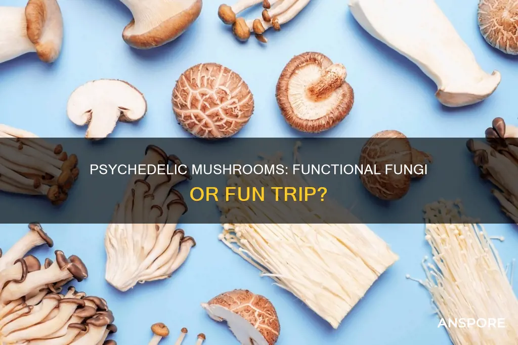 are functional mushrooms psychedelic