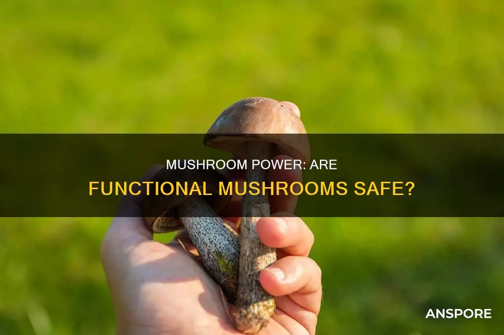 are functional mushrooms safe