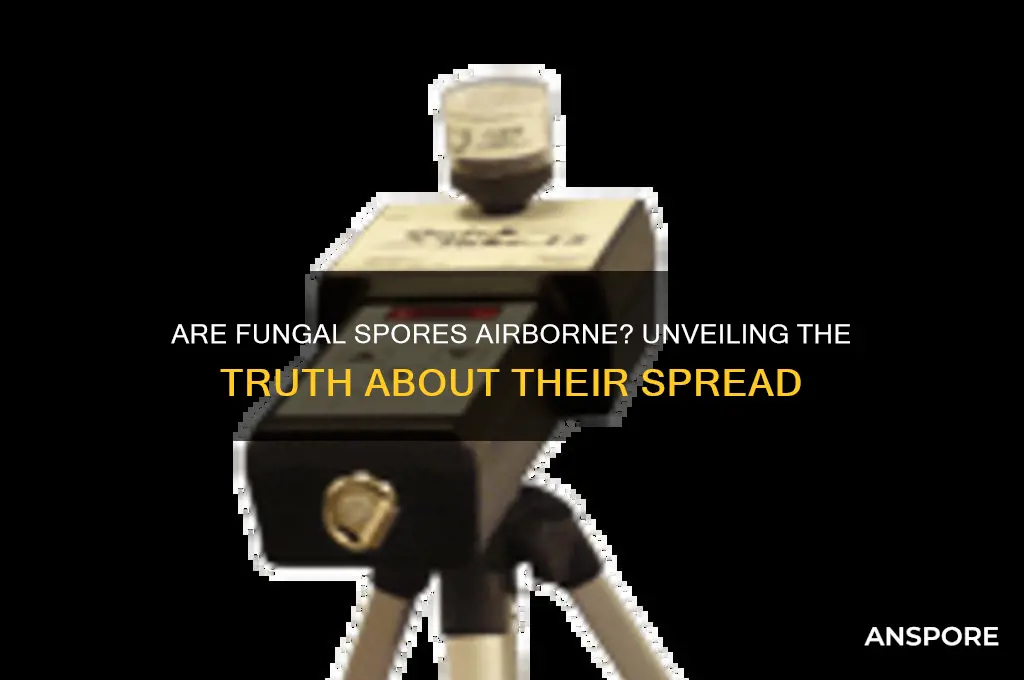 are fungal spores airborne