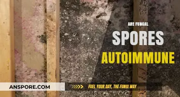 Fungal Spores and Autoimmunity: Unraveling the Complex Connection