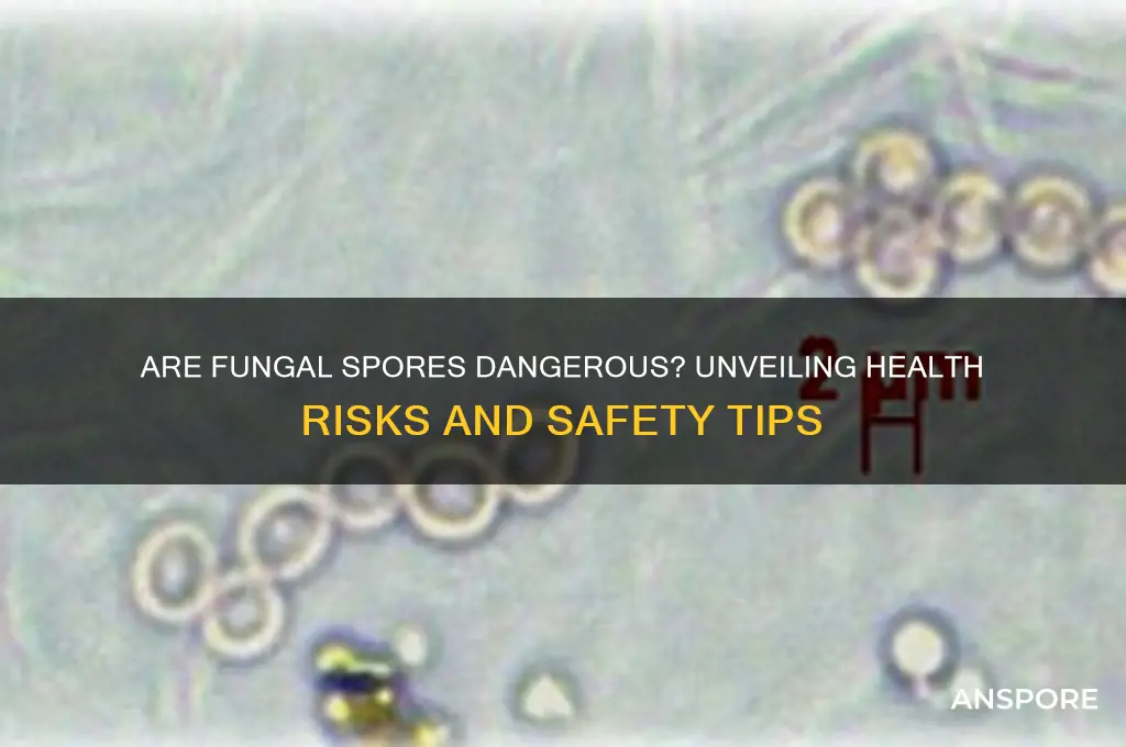 are fungal spores dangerous
