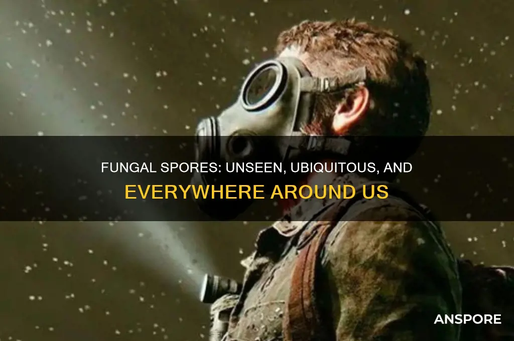 are fungal spores everywhere