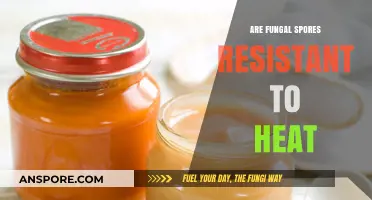 Can Heat Kill Fungal Spores? Exploring Their Resistance to High Temperatures