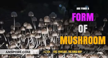 Are Fungi Just Mushrooms? Unraveling the Mycological Mystery