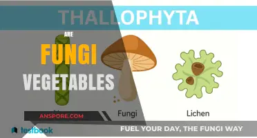 Fungi: Vegetable or Not?