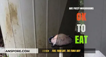 Fuzzy Mushrooms: Safe to Eat or Toxic Danger?