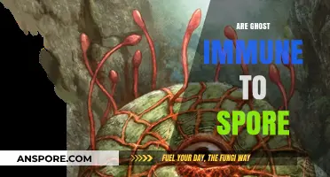 Exploring the Myth: Are Ghosts Immune to Spore Attacks?