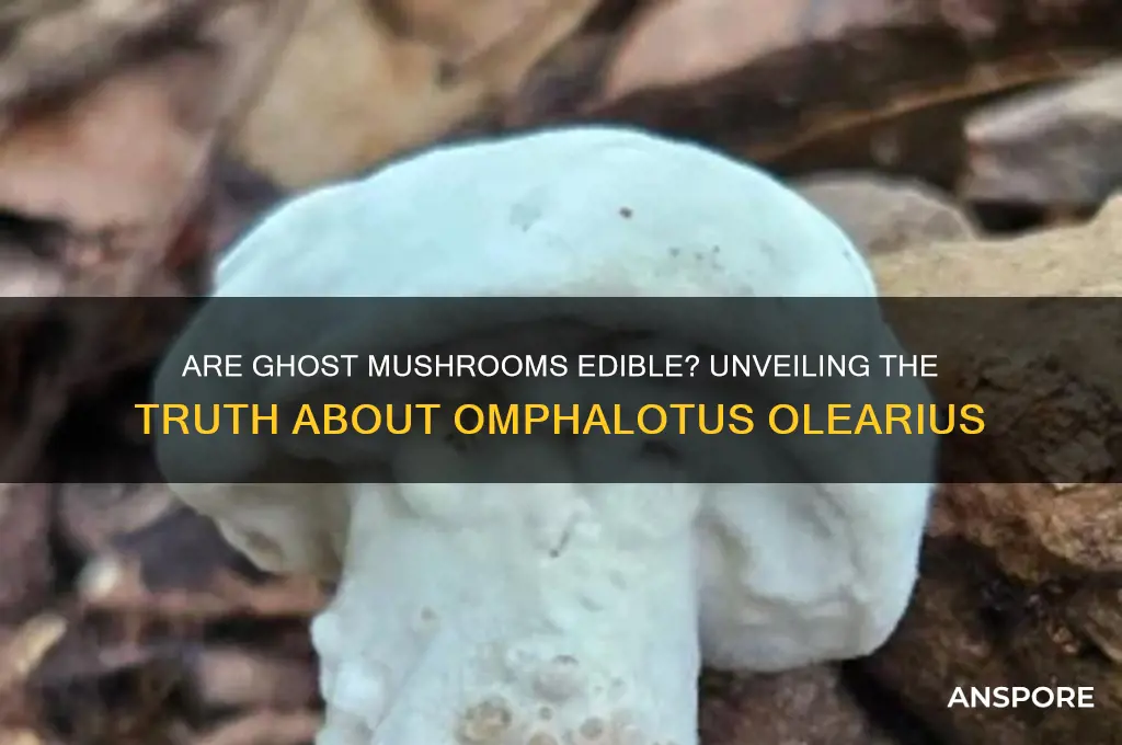 are ghost mushrooms edible
