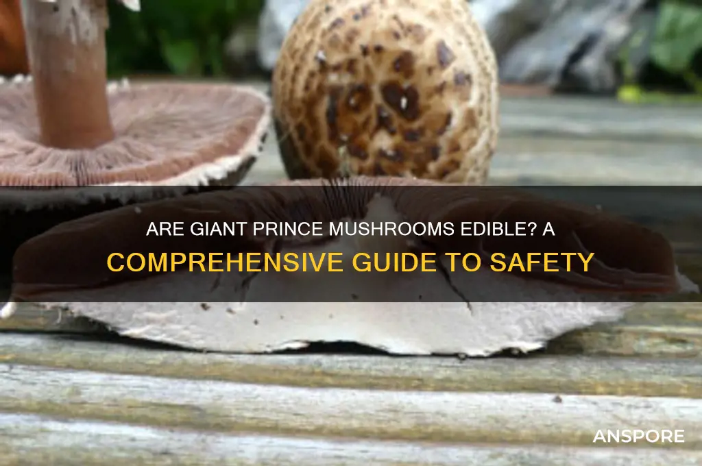 are giant prince mushrooms edible