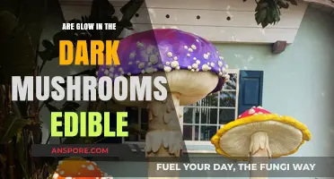 Glowing Mushrooms: Are These Bioluminescent Fungi Safe to Eat?