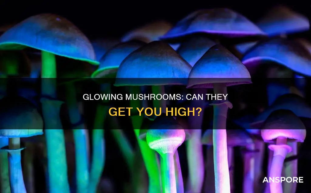 are glowing mushrooms psychedelic