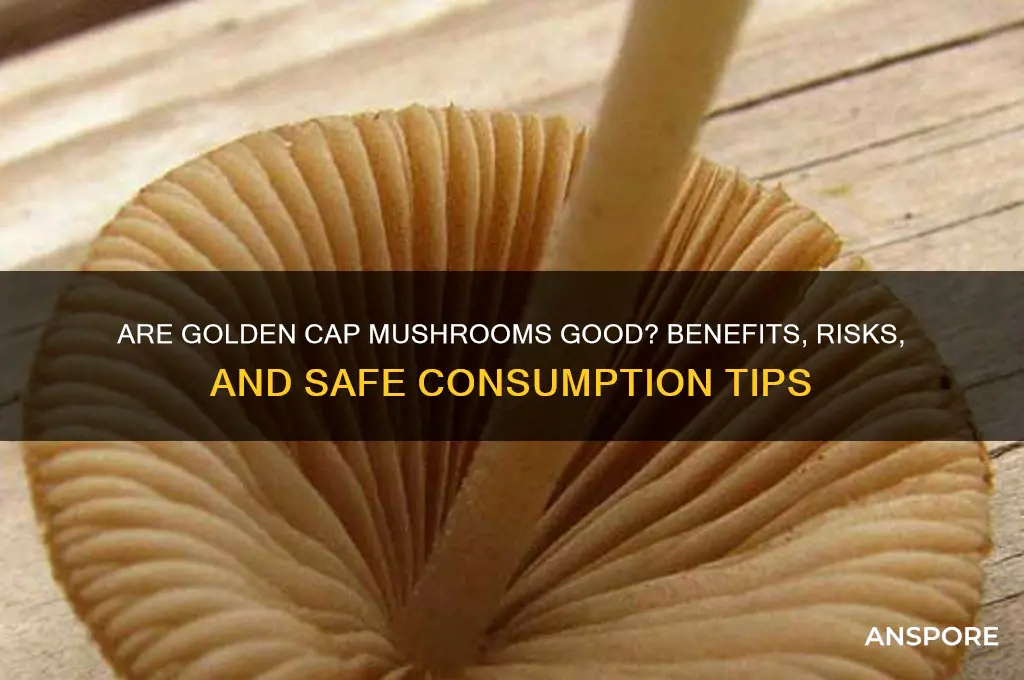 are golden cap mushrooms good