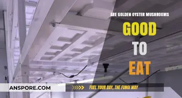 Golden Oyster Mushrooms: Delicious, Nutritious, and Worth Adding to Your Diet?