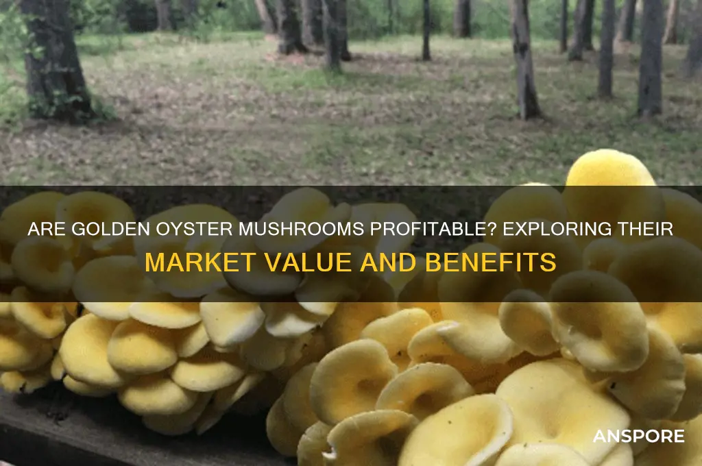 are golden oyster mushrooms worth money