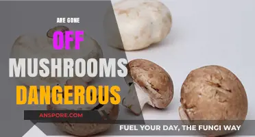 Mushroom Safety: Are Expired Mushrooms Dangerous?