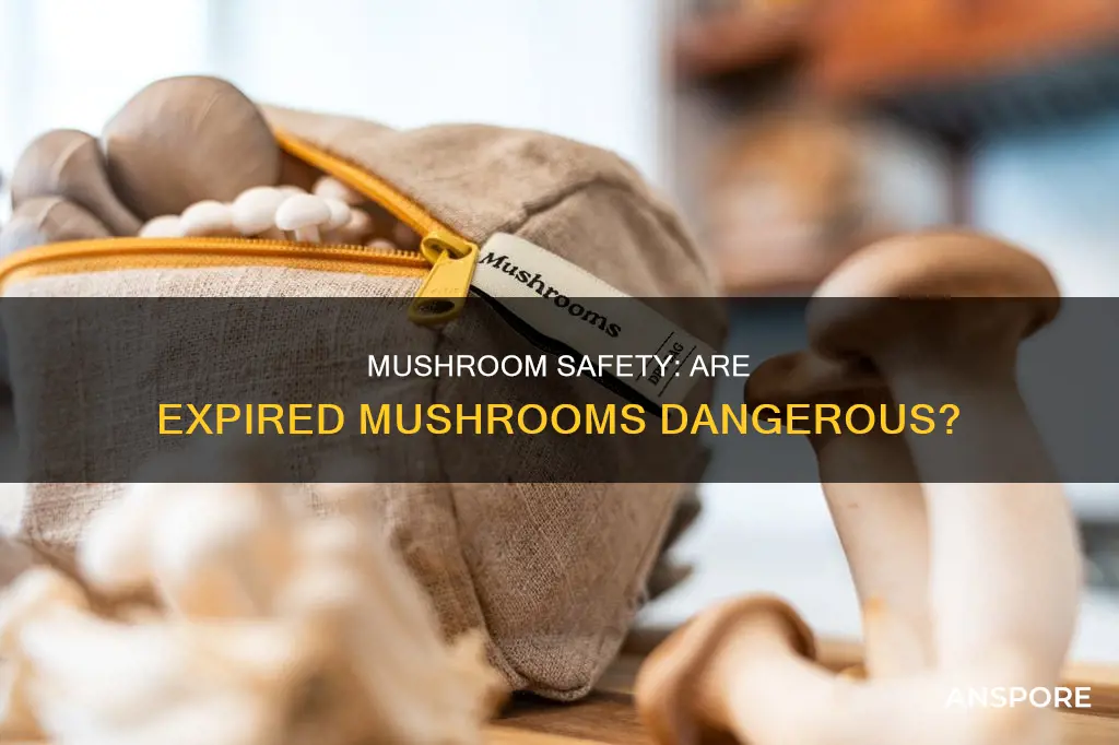 are gone off mushrooms dangerous