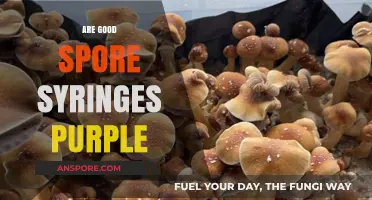Are Purple Spore Syringes Better? Unraveling the Myth and Facts