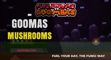 Goomas and Mushrooms: What's the Real Deal?