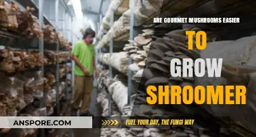 Gourmet Mushrooms: Are They Easier to Grow at Home?