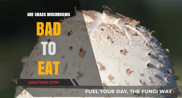 Are Grass Mushrooms Safe to Eat? Risks and Identification Tips