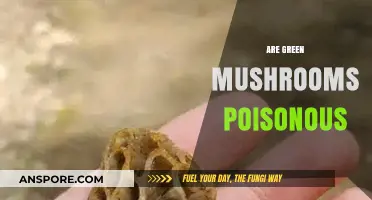 Are Green Mushrooms Poisonous? Unveiling the Truth About Toxic Fungi
