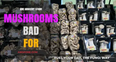 Are Grocery Store Mushrooms Bad for Your Health or Diet?