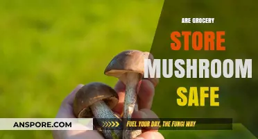 Grocery Store Mushrooms: Safe or Not?