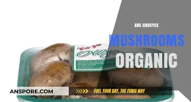 Grocyce Mushrooms: Are They Truly Organic?