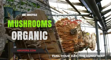 Grocycle Mushrooms: Organic or Not?