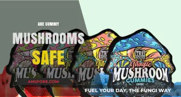 Mushroom Gummies: Safe Superfood or Health Hazard?