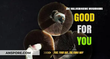 Exploring the Potential Benefits of Hallucinogenic Mushrooms for Health