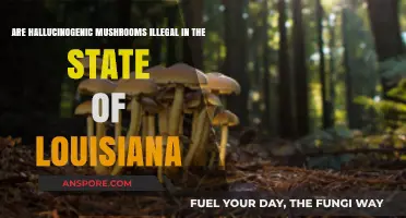 Are Hallucinogenic Mushrooms Illegal in Louisiana? Legal Insights