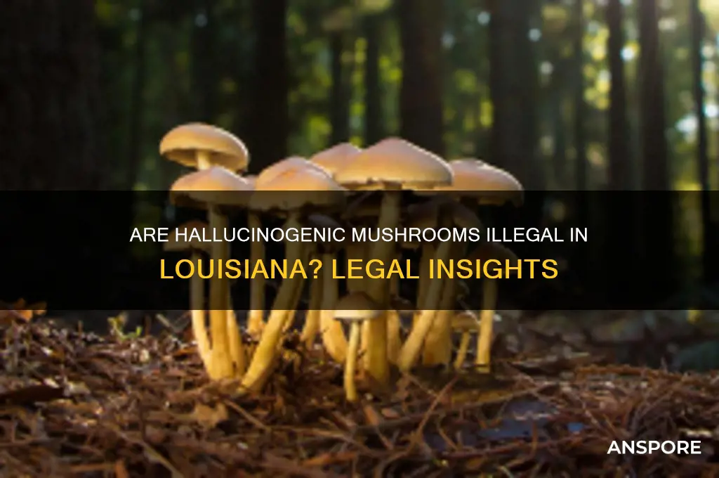 are hallucinogenic mushrooms illegal in the state of louisiana