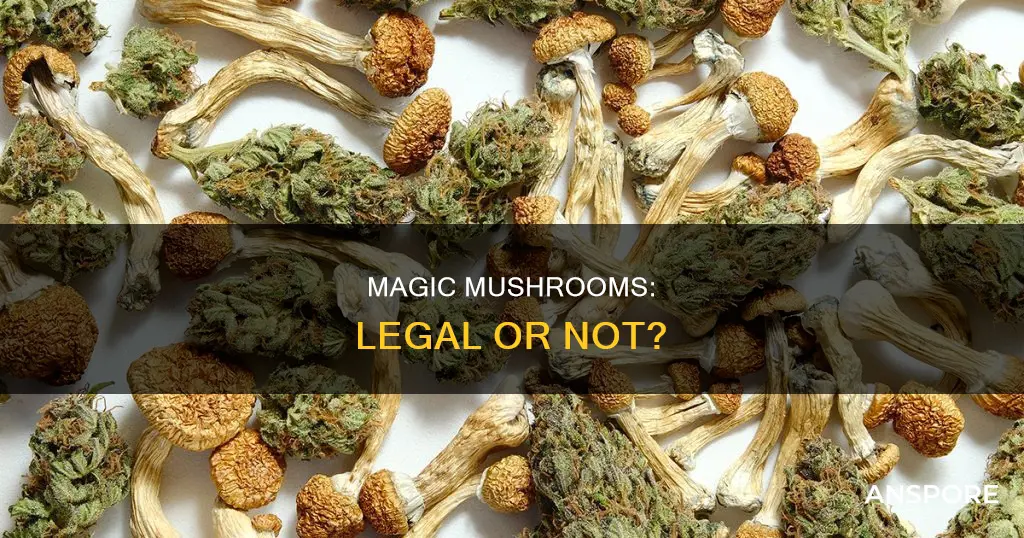 are hallucinogenic mushrooms illegal