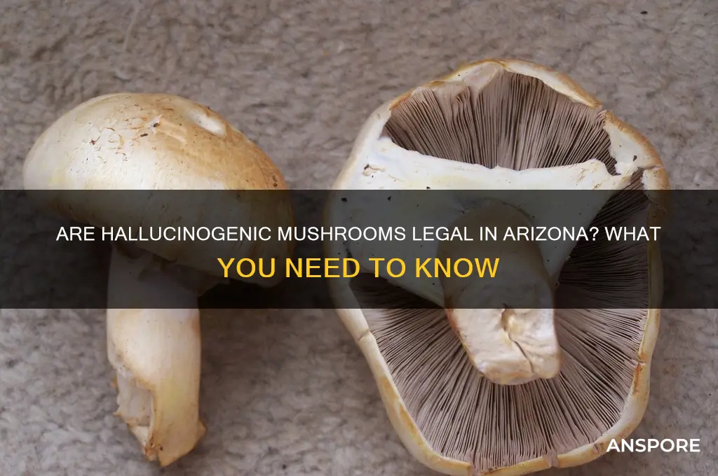 are hallucinogenic mushrooms legal in arizona