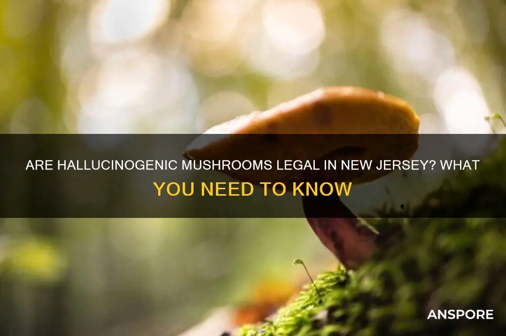 are hallucinogenic mushrooms legal in new jersey