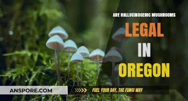 Oregon's Psychedelic Shift: Are Hallucinogenic Mushrooms Legal Now?