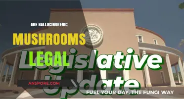 Are Hallucinogenic Mushrooms Legal? Exploring Psilocybin's Legal Status Worldwide