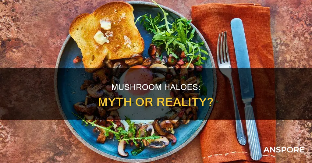 are haloes mushrooms