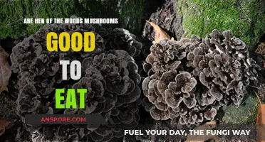 Are Hen of the Woods Mushrooms a Tasty and Healthy Choice?