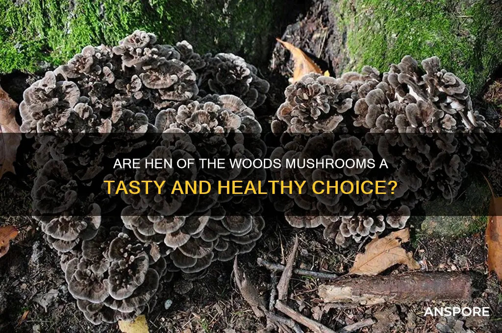 are hen of the woods mushrooms good to eat